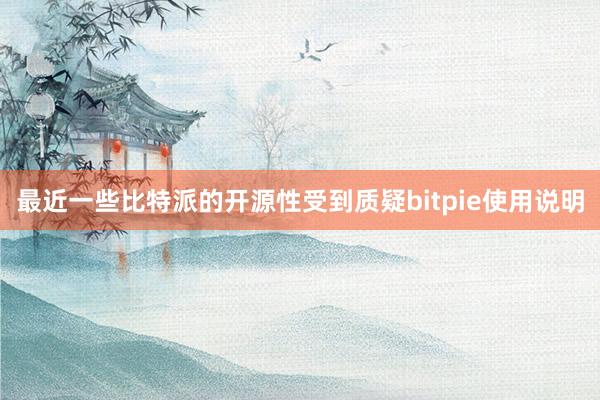 最近一些比特派的开源性受到质疑bitpie使用说明