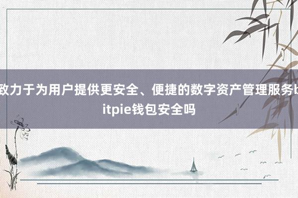 致力于为用户提供更安全、便捷的数字资产管理服务bitpie钱包安全吗