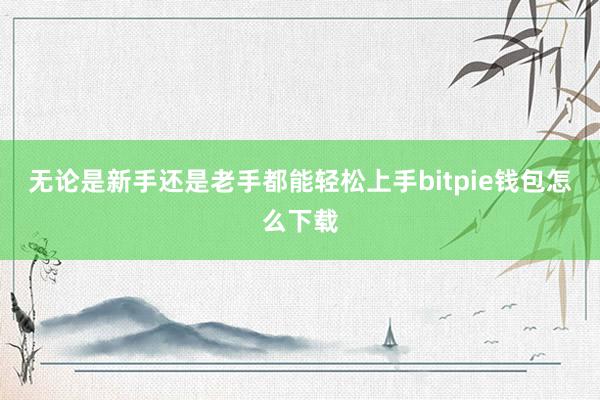 无论是新手还是老手都能轻松上手bitpie钱包怎么下载