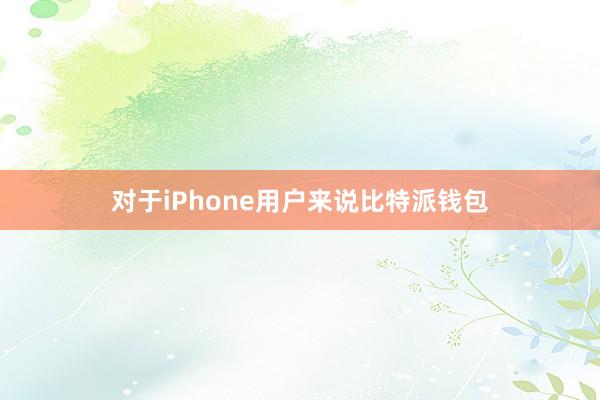 对于iPhone用户来说比特派钱包