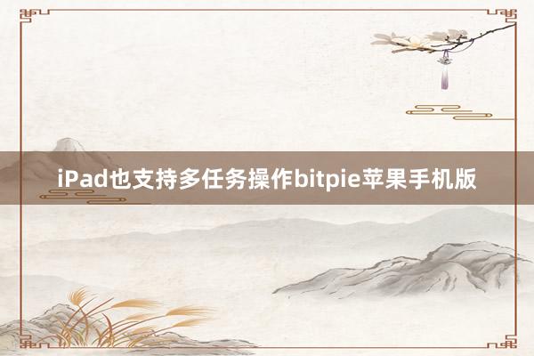 iPad也支持多任务操作bitpie苹果手机版