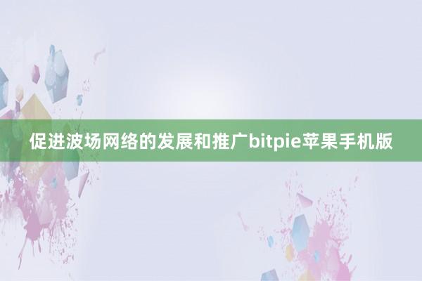 促进波场网络的发展和推广bitpie苹果手机版