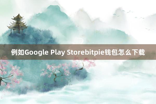 例如Google Play Storebitpie钱包怎么下载