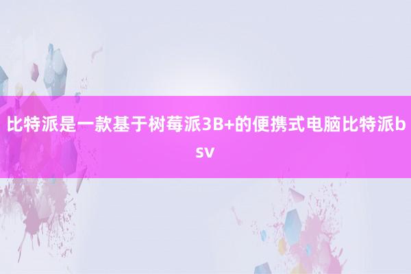 比特派是一款基于树莓派3B+的便携式电脑比特派bsv