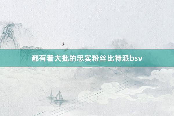 都有着大批的忠实粉丝比特派bsv