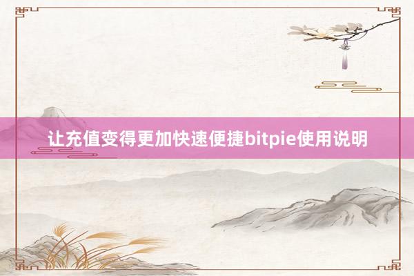 让充值变得更加快速便捷bitpie使用说明