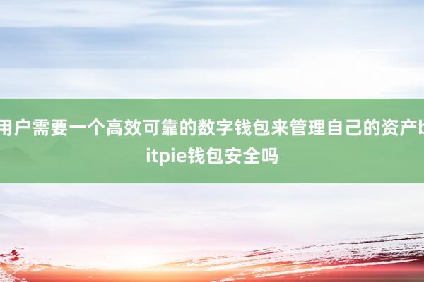 用户需要一个高效可靠的数字钱包来管理自己的资产bitpie钱包安全吗