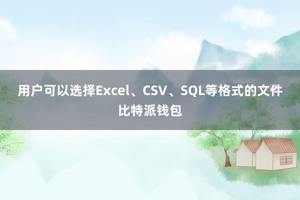 用户可以选择Excel、CSV、SQL等格式的文件比特派钱包