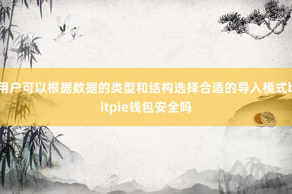 用户可以根据数据的类型和结构选择合适的导入模式bitpie钱包安全吗