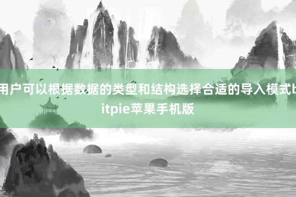 用户可以根据数据的类型和结构选择合适的导入模式bitpie苹果手机版