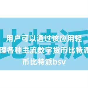 用户可以通过该应用轻松管理各种主流数字货币比特派bsv