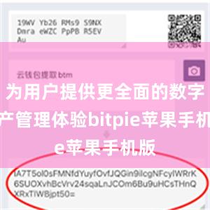 为用户提供更全面的数字资产管理体验bitpie苹果手机版