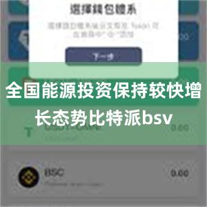 全国能源投资保持较快增长态势比特派bsv