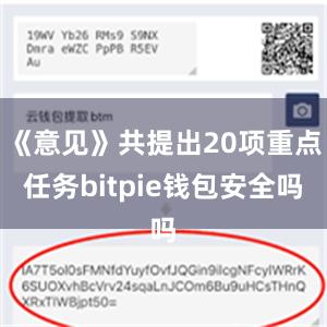 《意见》共提出20项重点任务bitpie钱包安全吗