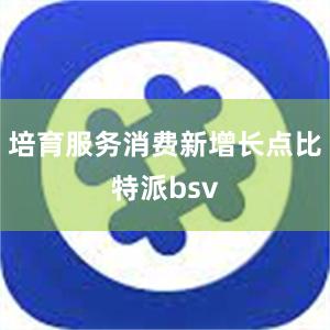 培育服务消费新增长点比特派bsv