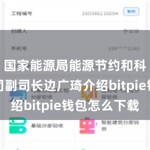 国家能源局能源节约和科技装备司副司长边广琦介绍bitpie钱包怎么下载