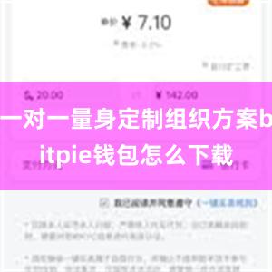 一对一量身定制组织方案bitpie钱包怎么下载