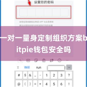 一对一量身定制组织方案bitpie钱包安全吗