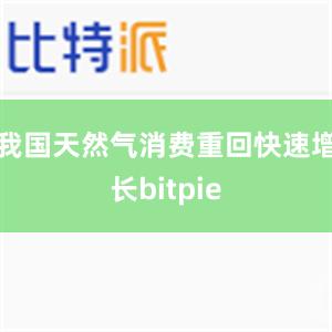 我国天然气消费重回快速增长bitpie