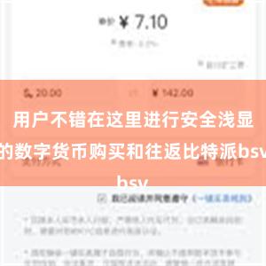 用户不错在这里进行安全浅显的数字货币购买和往返比特派bsv