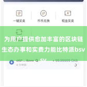 为用户提供愈加丰富的区块链生态办事和实费力能比特派bsv