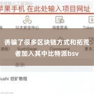 诱骗了很多区块链方式和拓荒者加入其中比特派bsv