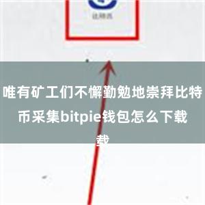 唯有矿工们不懈勤勉地崇拜比特币采集bitpie钱包怎么下载