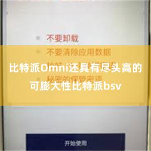 比特派Omni还具有尽头高的可膨大性比特派bsv