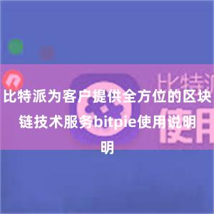 比特派为客户提供全方位的区块链技术服务bitpie使用说明